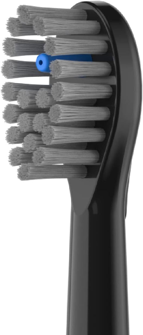 Flossing Toothbrush Heads Replacement, 6 Count, Compatible for Waterpik Sonic Fusion/2.0 Brush and Flosser Combo… (Compact Size, Black)...