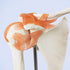 Anatomical Shoulder Joint Model Medical Anatomy Skeleton, Human Body Shoulder Ligament Model Anatomy Replica of Norma Shoulder Joint for Doctors O...