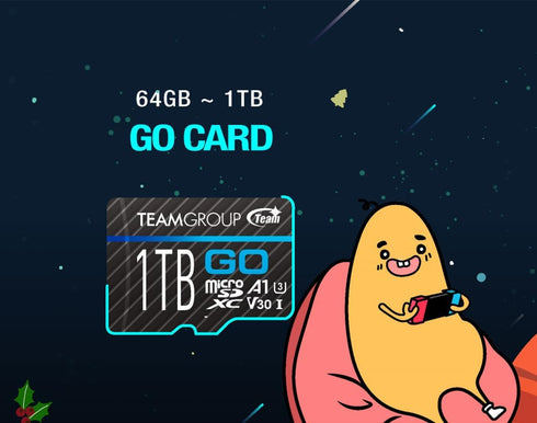 TEAMGROUP GO Card 128GB x 2 PACK Micro SDXC UHS-I U3 V30 4K for GoPro & Action Cameras High Speed Flash Memory Card with Adapter for Outdoor, Spor...