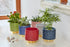 Bloomingville Stoneware Flower Pot Goldy, Indoor Planter, 4,125'', Red...