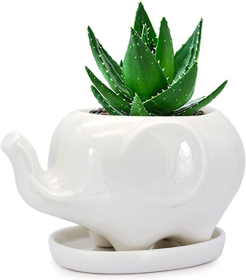 GeLive White Elephant Succulent Planter Ceramic Plant Pot Window Box with Saucer Animal Indoor Tabletop Decor Fun Gift 5 Inch (Mom Elephant)...