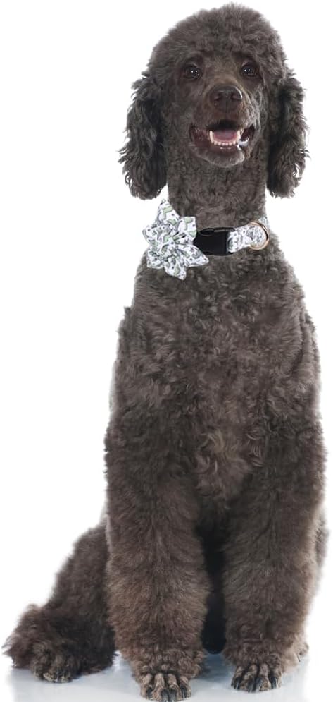 Dog Collar with Sunflower Dinosaur Adjustable Pet Collar for Small Medium Large Boy Girl Dogs...