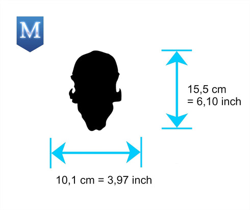 UMR-Design AS-062 ami skull Airbrush Stencil Template Step by Step Size M...