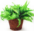 Leoyoubei 4 Bunches 14" Ferns Artificial Boston Fern Bush Plant,Faux Plant Shrubs Greenery Bushes Indoor Outside,Hanging Basket Planter Decor for ...