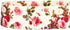 Blueberry Pet 9 Patterns Durable Spring Scent Inspired Pink Rose Print Ivory Dog Leash 5 ft x 3/4", Medium, Leashes for Dogs...