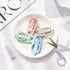 5Pcs Pastel Mini Folding Scissors with Safety Cap Small Telescopic Stainless Steel Scissors Portable Pokect Little Travel Scissors Kids Shears Tin...