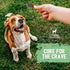 Canine Cravers Single Ingredient Dog Treats – Human Grade Air Dried Hypoallergenic Pet Food – Grain, Gluten, and Soy Free – 100% All Natural (Prem...