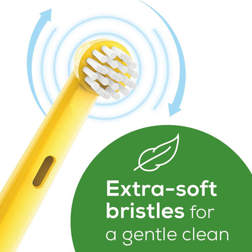 Beurer TB10 Kids Electric Toothbrush Replacement Brush Heads Only - 2 Pack - Theo The Tiger...