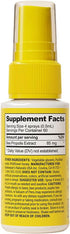 Propolis Throat Spray by Beekeeper's Naturals - 95% Bee Propolis Extract, Natural Immune Support & Sore Throat Relief - Antioxidants, Keto, Paleo,...