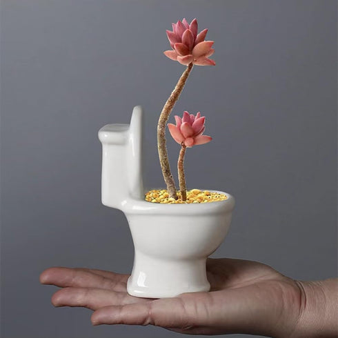 Cute Toilet Bowl Succulent Planter Pot with Drainage Tray, White Ceramic Cactus/Flower Container, Bonsai Holder for Air Plants...