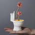 Cute Toilet Bowl Succulent Planter Pot with Drainage Tray, White Ceramic Cactus/Flower Container, Bonsai Holder for Air Plants...