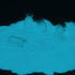 Glow in The Dark Pigment,Phosphorescent Glow Powder,3.52 Ounce (100 g),Water Based (Green) (Aqua-Turquoise)...