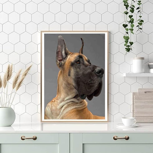 DIY Diamond Painting Great dane Dog Round Full Crystal Cross Stitch Crafts by Number Art Painting Kit Wall Decor Home Gifts 12x16 inch......