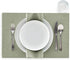 MY DRAP Cotton Luncheon Napkins, Washable and Reusable (20 Napkins, Water Green)...