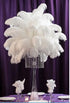 Shekyeon White 16-18inch 40-45cm Ostrich Feather DIY Craft Feather Pack of 10...