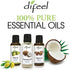 Difeel Essential Oils 100% Pure Tea Tree Oil 1 ounce (3-Pack)...