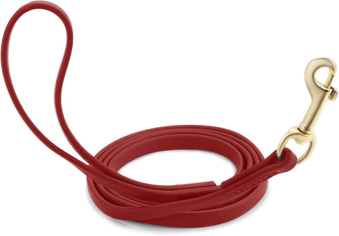 Waterproof Dog Training Leash Dog Long Leash Lead - 5FT/10ft/16ft/20ft /30ft/33ft, Suitable for Small Medium and Large Dogs, Ideal for Outdoor Bea...