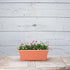 Novelty 16195, Terracotta, Countryside Flower Box Planter, 18-Inch...