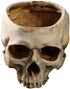 RMM Halloween Decoration Retro Human Skull Head Flower Pot Planter Bed Box Container Replica Home Bar Décor,Clear...