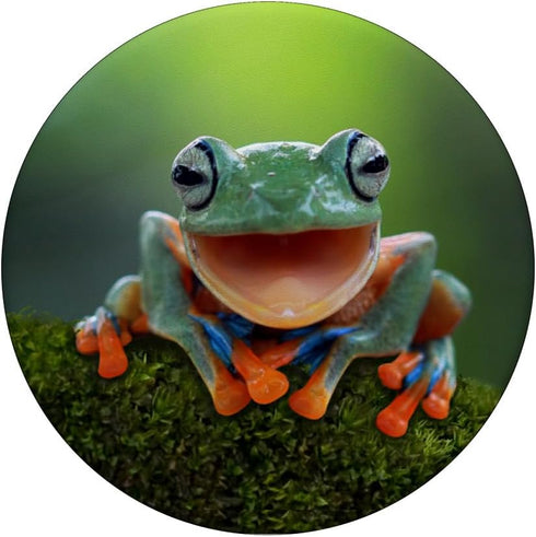 Frog Fun PopSocket: Green Frog Gift PopGrip for Phones & Tablets - Swappable Top, Adhesive Mount, Compatible with Most Cases...