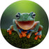 Frog Fun PopSocket: Green Frog Gift PopGrip for Phones & Tablets - Swappable Top, Adhesive Mount, Compatible with Most Cases...