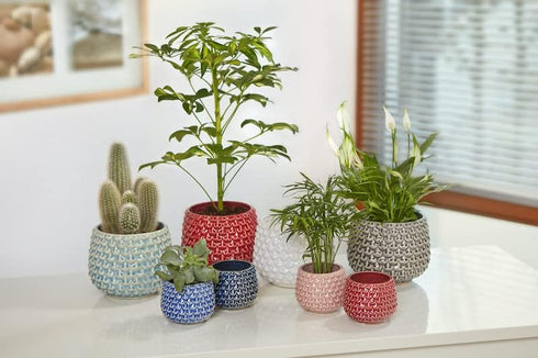 Bloomingville Stoneware Flower Pot Pinecone, Planter, 3,75'', White...