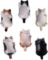 CHICHIC 6 Pack Fun Cat Refrigerator Magnets Office Magnet, Kitchen Decor Fridge Cat Ornament, Perfect for Whiteboard, Refrigerator, Map, Notes, Ca...