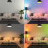 Feit Electric LED Color Changing Light Bulb - A19 with an E26 Medium Base Light Bulb - 60W Equivalent - 15 Year Life...