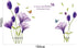 Removable Purple Lovely Lily Flowers Wall Stickers DIY Flower Vines Art Quotes and Butterfly Decal for Home Living Room Girls Bedroom Playroom Bat...