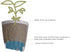 The HC Companies 6 Inch Aria Square Planter - Plastic Plant Pot for Indoor Outdoor Plants Flowers Herbs, Glossy Green...