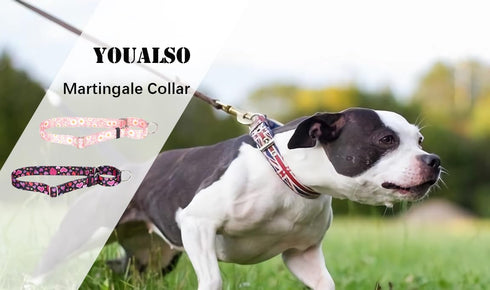 Martingale Collar for Large Dogs, No-Slip Escape Proof Choke No Pull Cinch Soft Nylon Dog Training Collars Adjustable for Small Medium Large Breed...