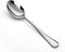 WYT Teaspoons Set of 8, Stainless Steel Silverware Dessert Spoon, Coffee Spoon, Mirrored Finish, Dishwasher Safe, 6.7 Inches...