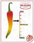 Jersey Girl Hot Sauce Co, Sizzlin' Original Spicy Hot Sauce (All Natural) & (Low Sodium) Crafted with Trinidad Scorpion, Long Hots, Habanero & Mor...