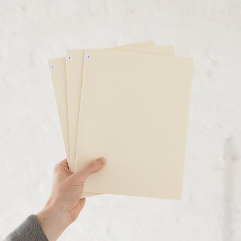 DESIGNPHIL Midori 15215006 Notebook, MD Notebook, Light, A4 Variable, Unruled, 3 Books...
