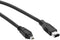 BRENDAZ Firewire DV Cable 4P-6P for Canon GL1 and GL2 Mini DV Camcorder, and Canon ZR Series Camcorders (6-Feet)...