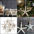 Nautical Crush Trading Starfish & Knobby Starfish Decor - (5) White Starfish 4-6" and (5) Knobby Starfish 2-3.5" - Beach Wedding Decor - Coastal P...