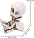 Cute Medidating Skull Dashboard Phone Holder for Car, Car Phone Mount, Skull Car Interior Accessories, Home Office Gothic Halloween Decorations, F...