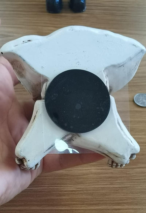Cute Medidating Skull Dashboard Phone Holder for Car, Car Phone Mount, Skull Car Interior Accessories, Home Office Gothic Halloween Decorations, F...