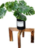 Hewnda 1 Pack Wood Plant Stand,Brown Mid Century Modern Planter Stands,12 Inches Indoor small plant stands?Suitable for succulents, low plants...