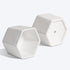 T4U Small White Succulent Planter Pots with Bamboo Tray Hexagon Set of 2, Geometric Ceramic Cactus Plant Holder, Succulent Plant Gifts for Gardene...