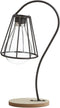 TJ Global Lamp with Glass Light Bulb Vase Planter Holder, Plant Terrarium, Propagation Station, Metal Stand for Hydroponics Plants Home Garden Wed...