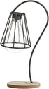 TJ Global Lamp with Glass Light Bulb Vase Planter Holder, Plant Terrarium, Propagation Station, Metal Stand for Hydroponics Plants Home Garden Wed...