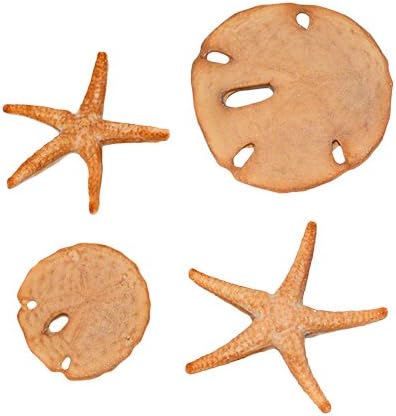Sand Dollar & Starfish Set Silicone Mold SC146 by First Impressions Molds...