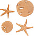 Sand Dollar & Starfish Set Silicone Mold SC146 by First Impressions Molds...