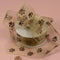Brown Sheer Paw Prints Ribbon, 1-1/2" X 25Yd...