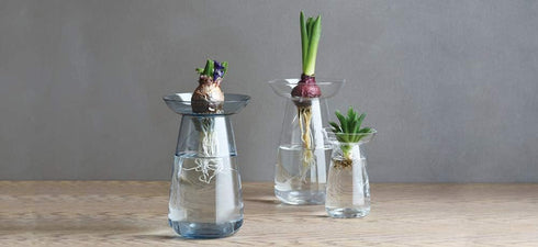 KINTO 20845 Aqua Culture Base, 3.1 inches (80 mm), Gray Flower Base...