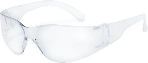 SSP Eyewear Recyclable Safety Glasses,Clear-clear,PRO FRO CL A/F...