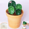 Cactus Measuring Spoons Set in Pot Ceramic Cute Measuring Cups and Spoons Unique Baking Gifts for Dry Wet Ingredients Dishwasher Safe 1 Tbsp 1 TSP...