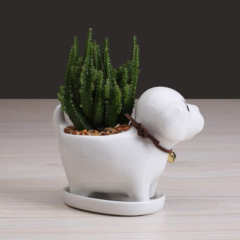 Cute Dog Succulent Planter Pot with Drainage Tray, White Ceramic Flower/Cactus Container, Animal Bonsai Holder for Air Plants...