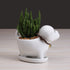 Cute Dog Succulent Planter Pot with Drainage Tray, White Ceramic Flower/Cactus Container, Animal Bonsai Holder for Air Plants...